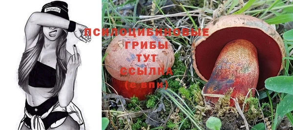 прущая мука Абаза